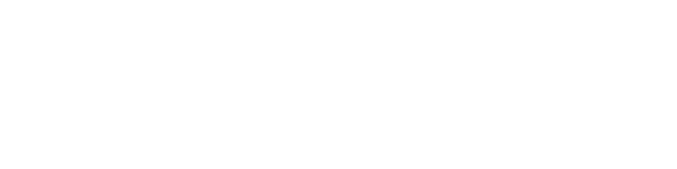 Skillapo